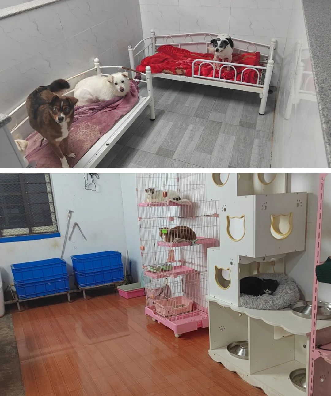 未命名.jpg 圖片