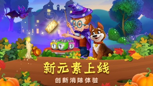 1541077065672818.jpg 5.jpg